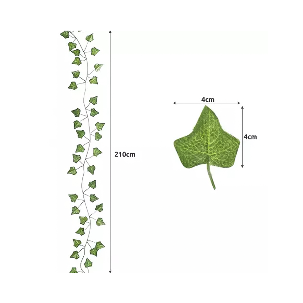 Murgröna Lövgirlang - 25x2m
