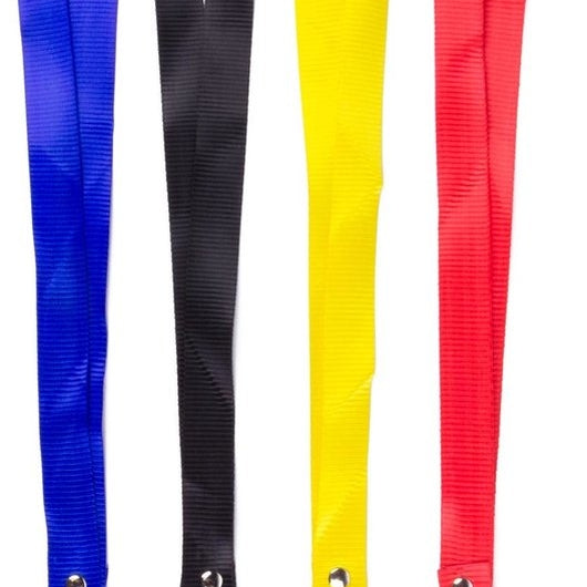 Nyckelband2PackDefaultTitle_3c6f1479-43a1-4eef-95e4-a169d55de797.jpg