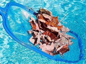 Pool rengöring nät samlare hämta
