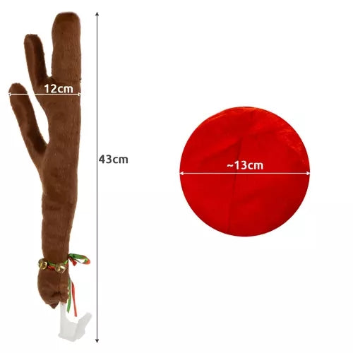 Renhorn till Bilen - Rudolf