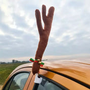 Renhorn till Bilen - Rudolf