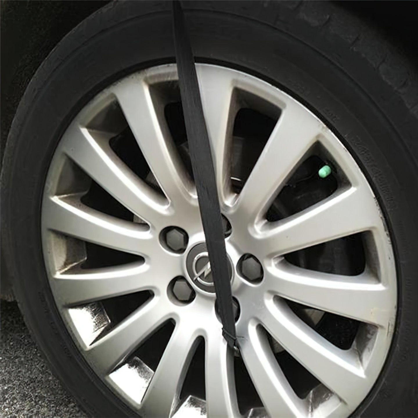 Snö- och Frostskydd för Bil