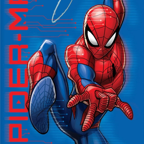 SpiderManBadlakan70x140cmDefaultTitle.jpg