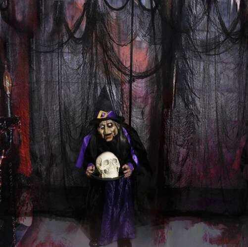 Spindelnät / Hängande Halloween Dekoration - 198 x 76 cm