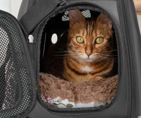 Transportväska för Husdjur / Resväska / Väska till Katt & Hund