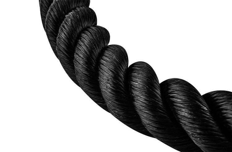 TricepsrepReptillTrningGym60cmDefaultTitle_740801f4-f1d5-4b78-b17f-20a5a3f5f62e.jpg