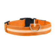Uppladdningsbart LED-halsband för Hund - Välj Storlek & Färg!