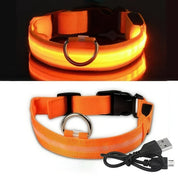 Uppladdningsbart LED-halsband för Hund - Välj Storlek & Färg!