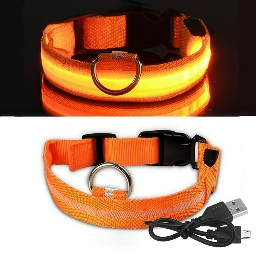 Uppladdningsbart LED-halsband för Hund - Välj Storlek & Färg!
