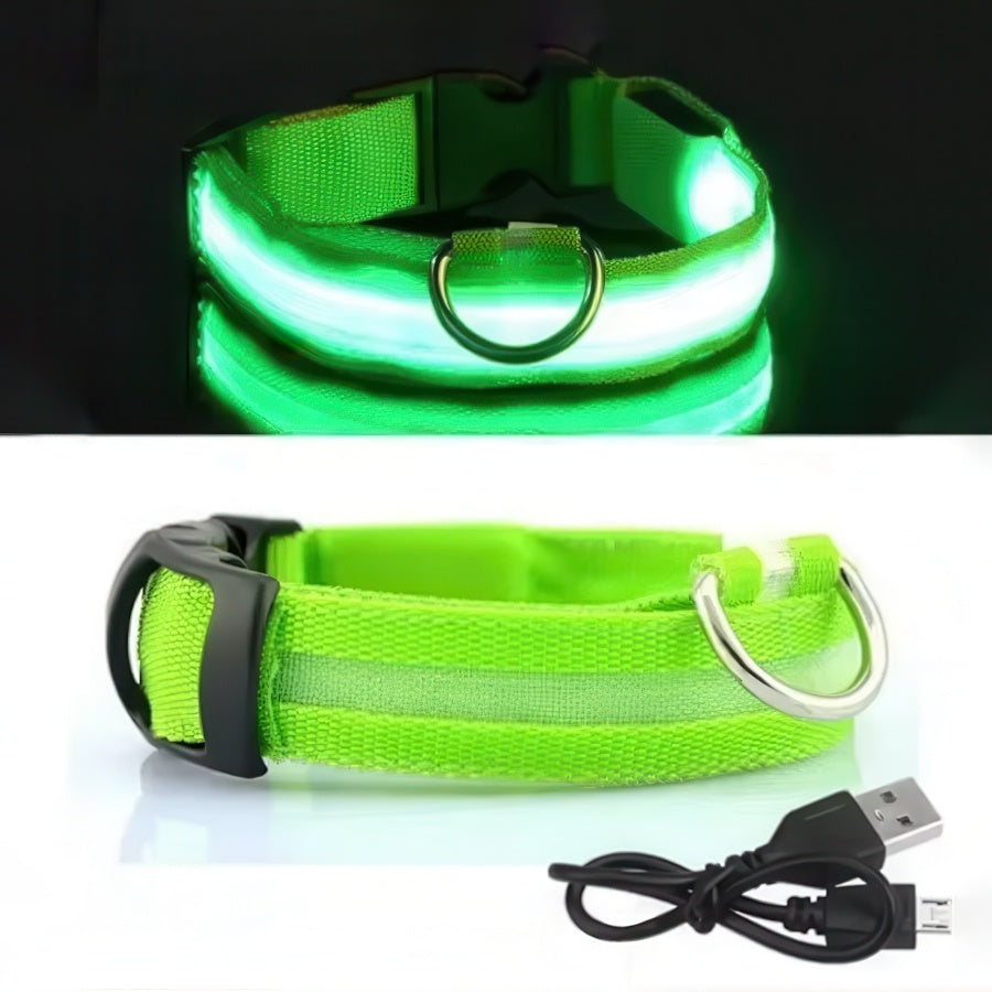 Uppladdningsbart LED-halsband för Hund - Välj Storlek & Färg!