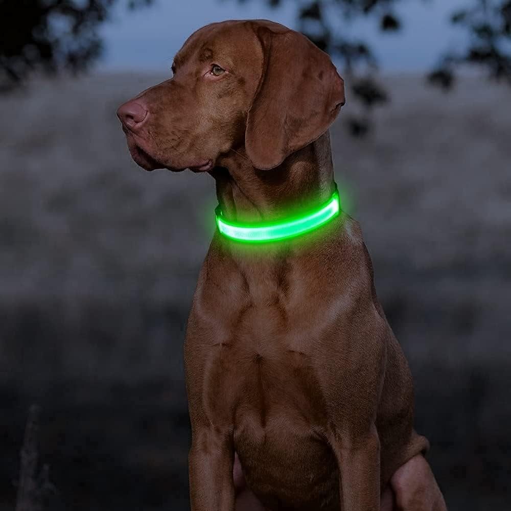 Uppladdningsbart LED-halsband för Hund - Välj Storlek & Färg!