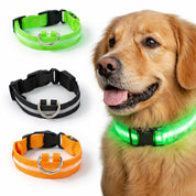 Uppladdningsbart LED-halsband för Hund - Välj Storlek & Färg!