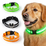 Uppladdningsbart LED-halsband för Hund - Välj Storlek & Färg!
