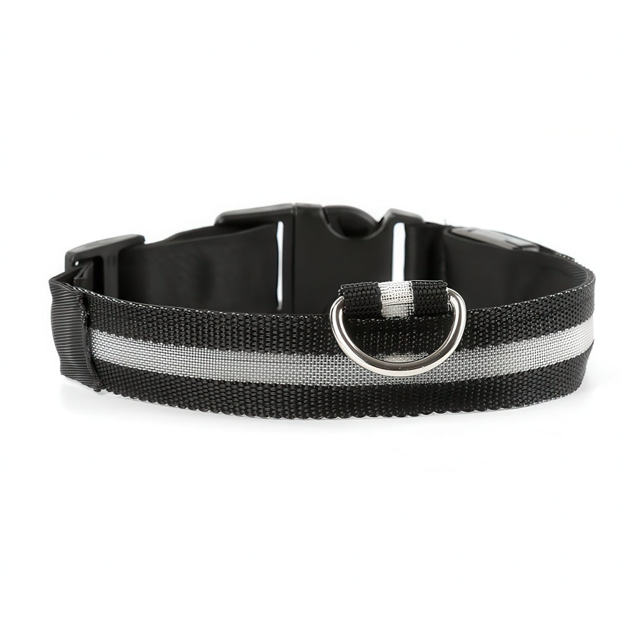 Uppladdningsbart LED-halsband för Hund - Välj Storlek & Färg!