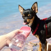 Vattenflaska för Hund / Hundflaska 350ml - Flera färger