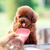 Vattenflaska för Hund / Hundflaska 350ml - Flera färger