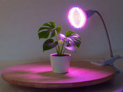 Växtlampa med Klämma - Växtbelysning - Lampa För Växter