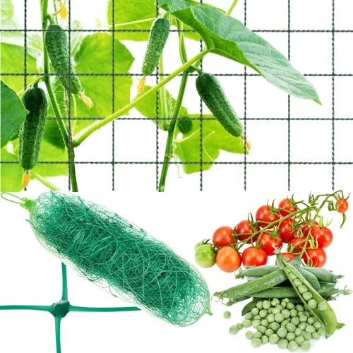 Plant Net / Support Net for Plants - 2x10m