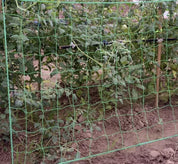 Plant Net / Support Net for Plants - 2x10m