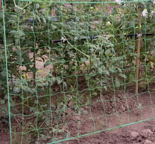 Plant Net / Support Net for Plants - 2x10m