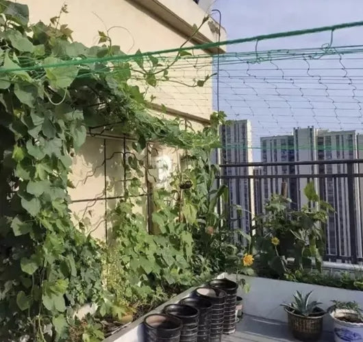 Plant Net / Support Net for Plants - 2x10m