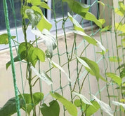Plant Net / Support Net for Plants - 2x10m