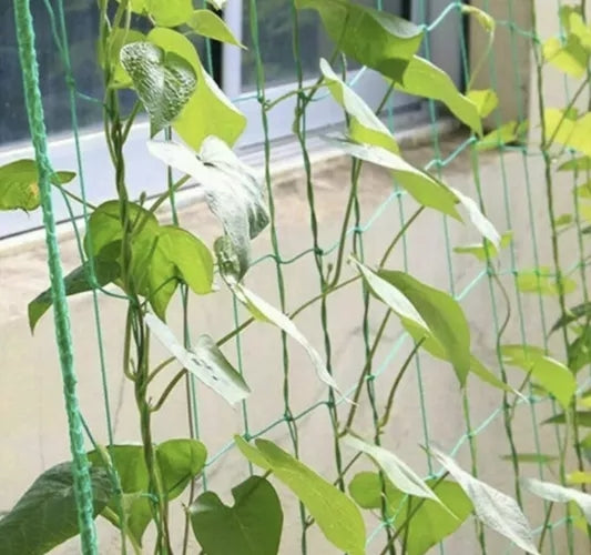 Plant Net / Support Net for Plants - 2x10m