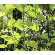 Plant Net / Support Net for Plants - 2x10m