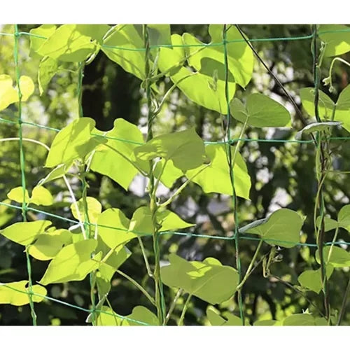 Plant Net / Support Net for Plants - 2x10m