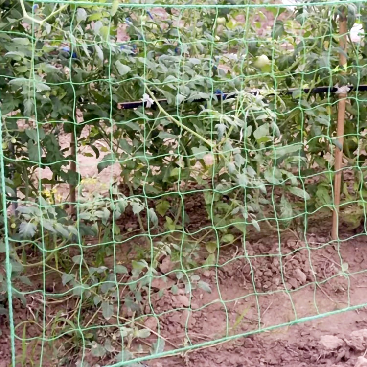 Växtnät / Stödnät för Växter - 2x20m