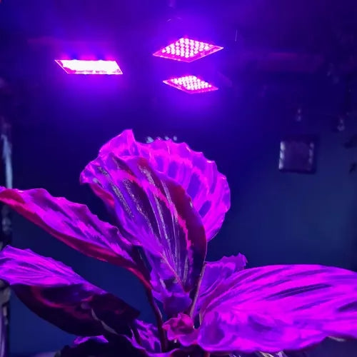 Växtlampa - Växtbelysning med 3 LED-paneler