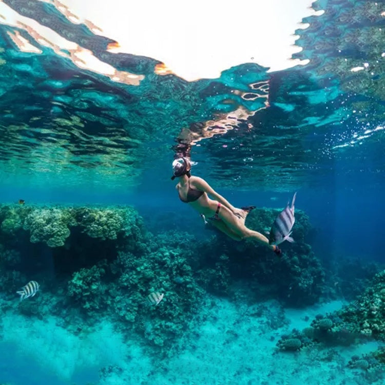 Snorkelmask Heltäckande - Snorkling - L/XL