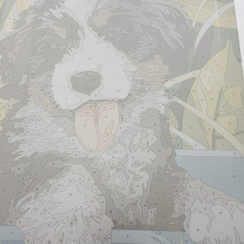 Måla Efter Nummer Kit - 40x30cm – Hund