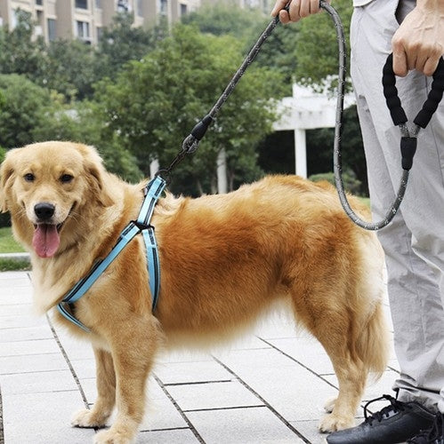 Hundkoppel med Reflex / Koppel för Hund - 3m