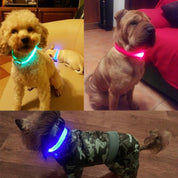 Uppladdningsbart LED-halsband för Hund - Välj Storlek & Färg!