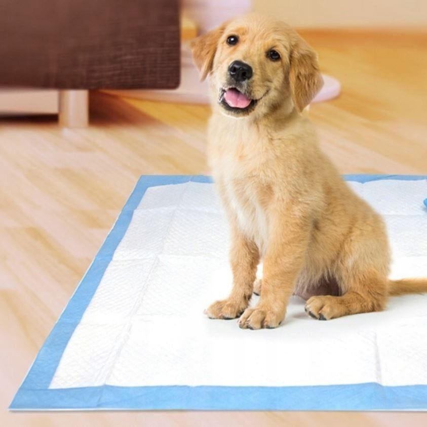 Kissmatta med Bajspåsar för Hundträning - Välj Storlek & Antal!