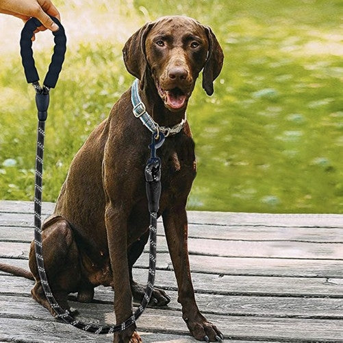 Hundkoppel med Reflex / Koppel för Hund - 3m