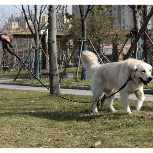Hundkoppel med Reflex / Koppel för Hund - 3m
