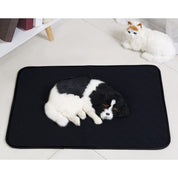 Underlag / Matta för Hund & Katt - 70x50cm