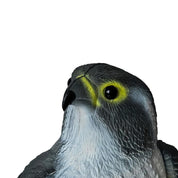 Fågelskrämma Örn