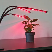 Växtlampa med 3 LED-Lysrör